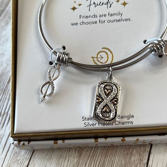 New! Friends Are Family We Choose Infinity Bracelet Silver Plated Charms NWT Box - Picture 4 of 12